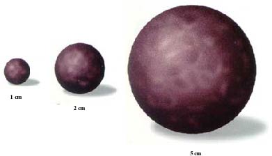 Comparison of Tumor Sizes Image of different size tumors